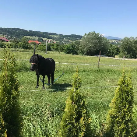Domki, Apartament, Pokoj, Limanowa Exterior photo