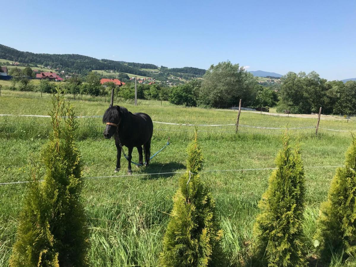 Domki, Apartament, Pokoj, Lodge Limanowa